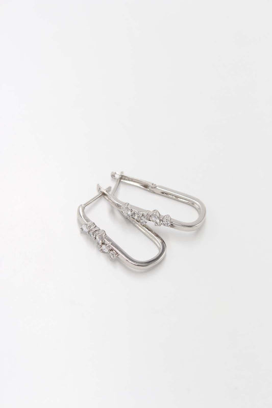 Silvery earrings